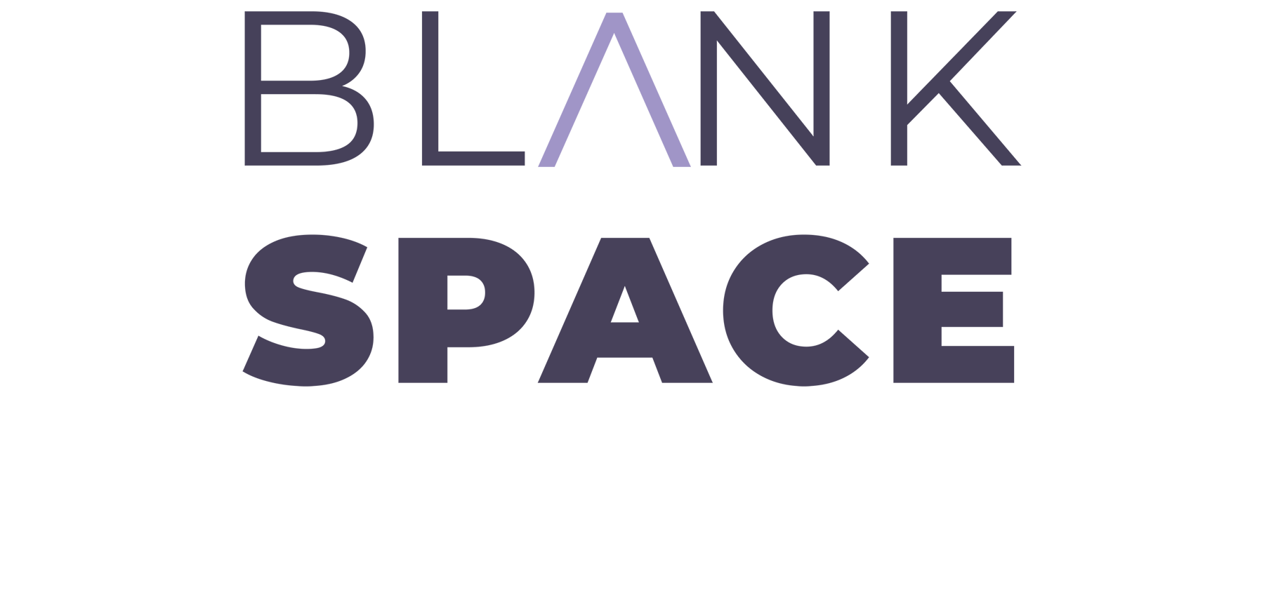 Blank Space logo