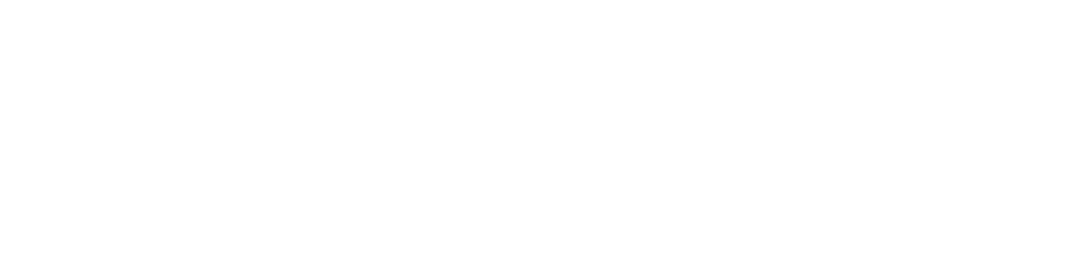 Hvit Blank Space logo